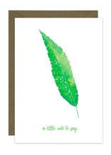 Load image into Gallery viewer, Feather Collection