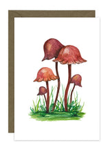 Load image into Gallery viewer, Wild Mushroom Collection
