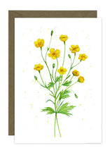 Load image into Gallery viewer, Buttercups

