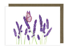 Load image into Gallery viewer, Butterfly Collection