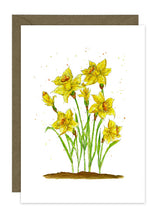 Load image into Gallery viewer, Daffodil Collection