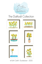 Load image into Gallery viewer, Daffodil Collection