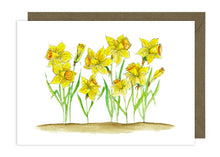 Load image into Gallery viewer, Daffodil Collection