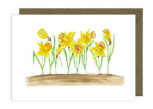 Load image into Gallery viewer, Daffodil Collection