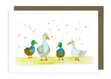 Load image into Gallery viewer, Wild Birds Collection