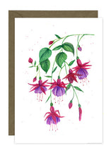 Load image into Gallery viewer, Wild Flower Collection