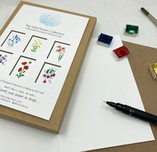 Load image into Gallery viewer, Wild Flower Collection