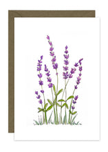 Load image into Gallery viewer, Lavender