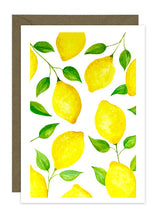 Load image into Gallery viewer, Fruit Collection