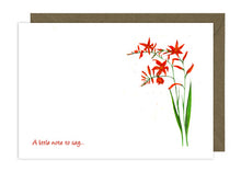 Load image into Gallery viewer, Montbretia