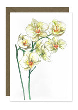 Load image into Gallery viewer, Orchids