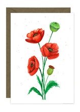 Load image into Gallery viewer, Wild Flower Collection