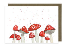 Load image into Gallery viewer, Mushroom Collection
