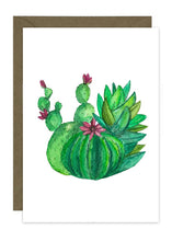 Load image into Gallery viewer, Cactus Collection