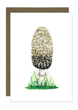 Load image into Gallery viewer, Wild Mushroom Collection