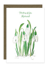 Load image into Gallery viewer, Snowdrops