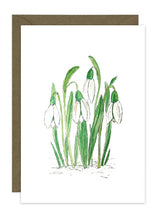 Load image into Gallery viewer, Snowdrops