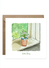 Load image into Gallery viewer, 'Nóta Beag' Nature Collection