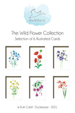 Load image into Gallery viewer, Wild Flower Collection
