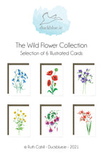 Load image into Gallery viewer, Wild Flower Collection
