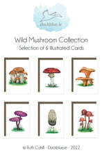 Load image into Gallery viewer, Wild Mushroom Collection