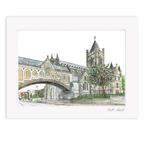 Christ Church Cathedral, Dublin