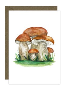 Wild Mushroom Collection