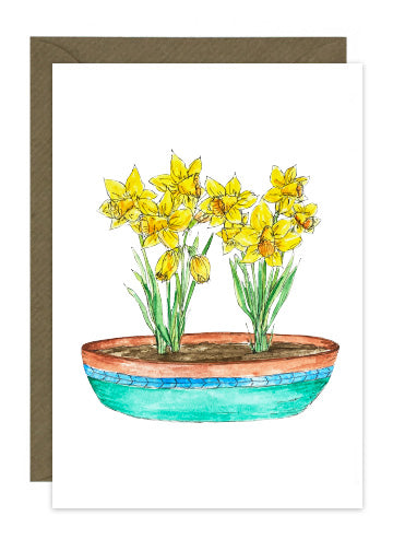 Daffodils in Pot