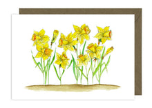 Load image into Gallery viewer, Daffodil Collection
