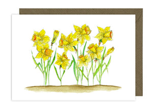 Daffodils Landscape