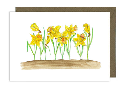 Daffodils Landscape 2