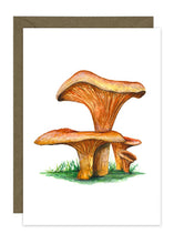 Load image into Gallery viewer, Wild Mushroom Collection
