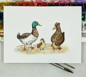 Family of Ducks