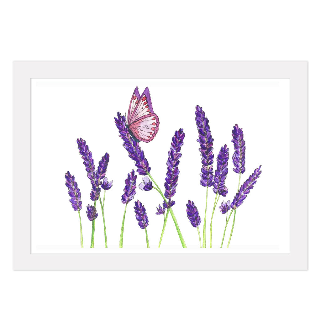 Butterfly on Lavender Print