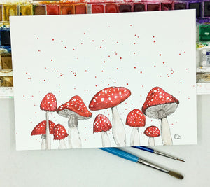 Red Mushroom