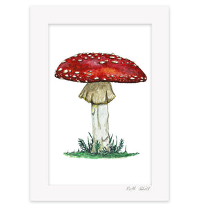 Toadstool Print - Fly Agaric