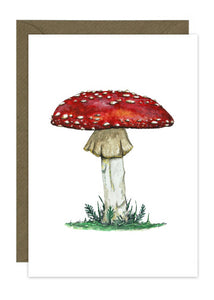 Red Toadstool - Wild Mushroom